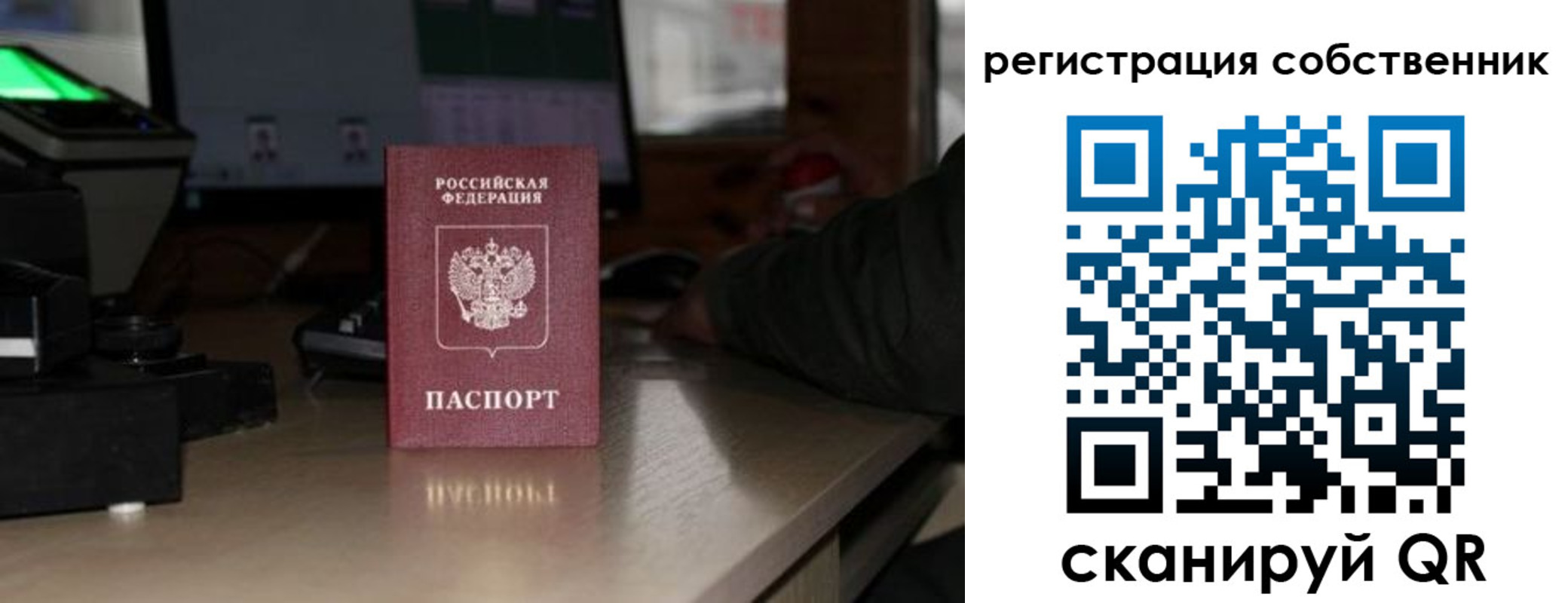 прописка поиск в Ярославской области